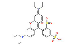 磺基羅丹明B