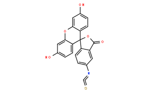 异硫氰酸荧光素(5-,6-异构体混合物)