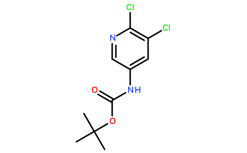 5,6-二氯吡啶-3-氨基甲酸叔丁酯