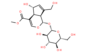 雞矢藤次苷甲酯