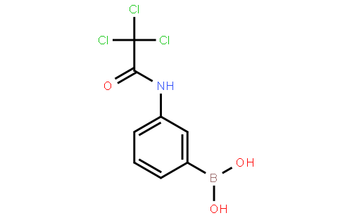 3-(2,2,2-Trichloroacetamido)benzeneboronic acid