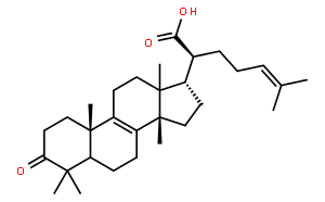 Β-榄香酮酸