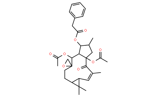 Euphorbiasteroid