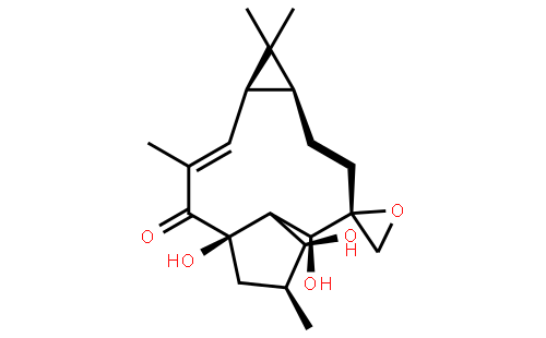 环氧续随子醇