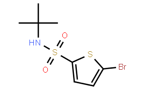 N-叔丁基-5-溴-2-噻吩磺酰胺