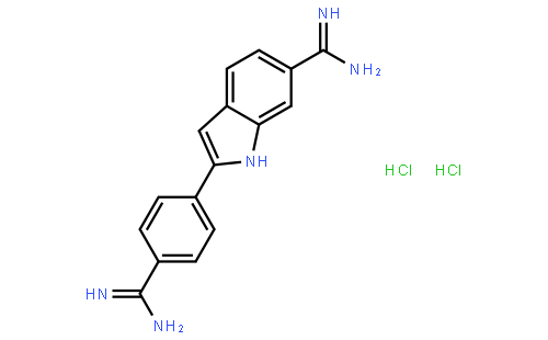 4,’6-二脒基-2-苯基吲哚二盐酸盐