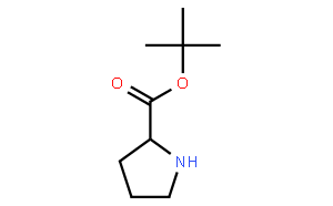 H-Pro-OtBu