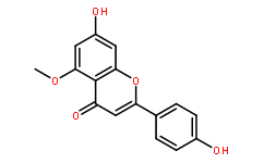 黄花夹竹桃黄酮