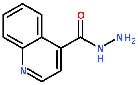 quinoline-4-carboxylic acid hydrazide