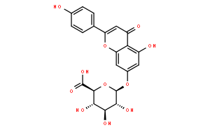 芹菜素-7-葡萄糖醛酸、灯盏花甲素