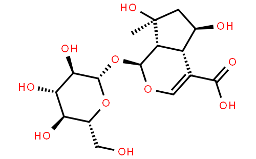 shanzhiside