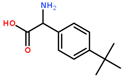 4-叔丁基苯甘氨酸