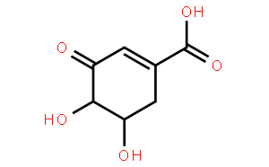 (-)-3-DehydroShikimicAcid