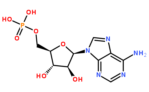 单磷酸阿糖腺苷