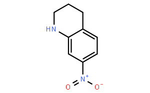 7-Nitro-1,2,3,4-tetrahydroquinoline