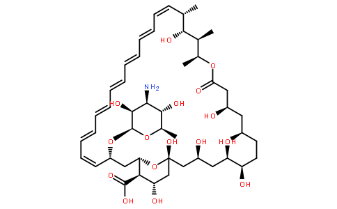 两性霉素b