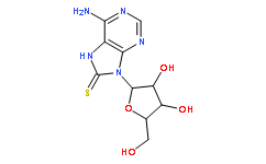 7,8-Dihydro-8- thioxo- adenosine