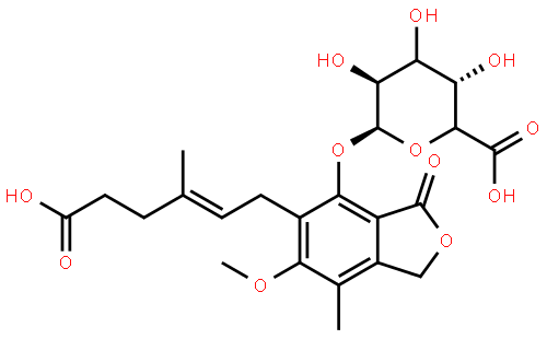 MycophenolicAcidβ-D-Glucuronide