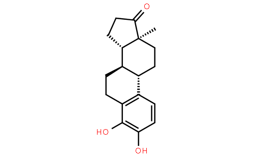 4-羟基雌酮
