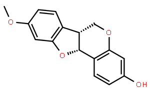 美迪紫檀素