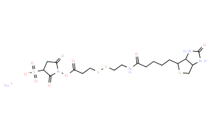 Sulfo-NHS-SS-Biotin