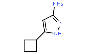 3-amino-5-cyclobutyl-1h-pyrazole