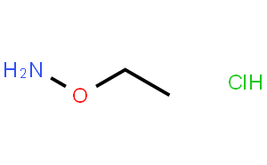 O-乙基羟胺 盐酸盐