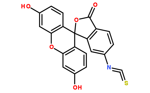 6-异硫氰酸荧光素