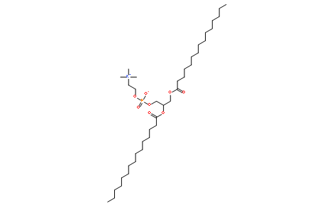 1,2-dipentadecanoyl-sn-glycero-3-phosphocholine