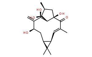 7-羟基千金子二萜醇