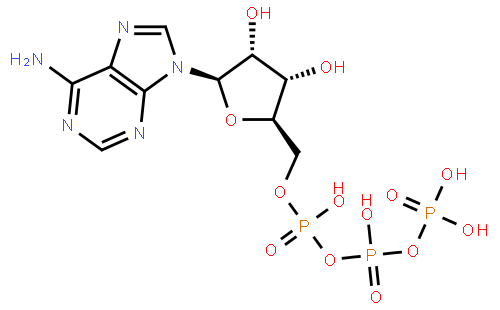 腺苷-5'-三磷酸二钠盐,水合物