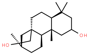 34302-37-9  2，16-贝壳杉烷二醇
