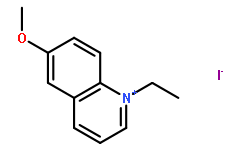 MEQ(6-甲氧基-N-乙基喹啉碘化物)