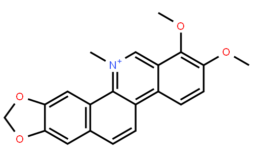 白屈菜红碱