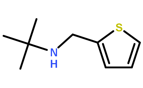 2-甲基-N-（噻吩-2-基甲基）丙-2-胺