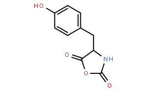 L-Tyrosine N-Carboxy anhydride