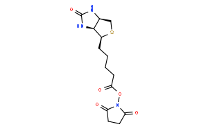 (+)-生物素 N-羟基琥珀酰亚胺酯