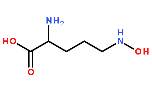 N5-hydroxy-L-ornithine