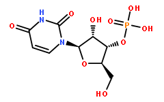 尿苷酸钠；尿苷酸二钠