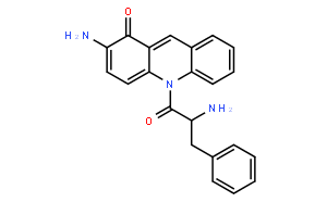 N-(L-苯丙氨酰)-2-氨基吖啶酮