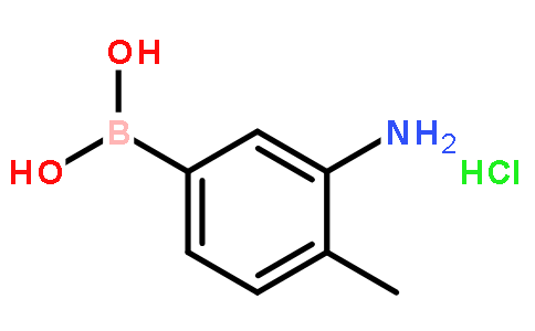 3-Amino-4-methylphenylboronic acid hydrochloride
