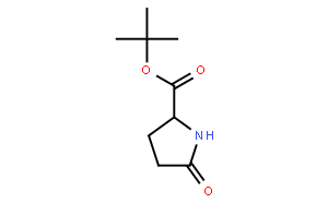 (S)-5-羰基吡咯啉-2-甲酸叔丁酯