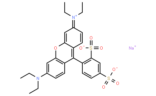 磺酰罗丹明B