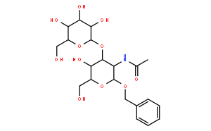 Benzyl 2-acetamido-2-deoxy-3-O-β-D-galactopyranosyl-α-D-galactopyranoside