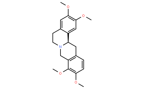 右旋四氢巴马汀