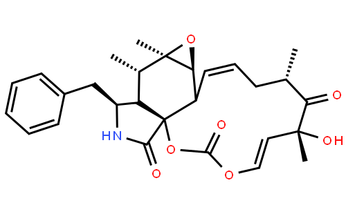 Cytochalasin E