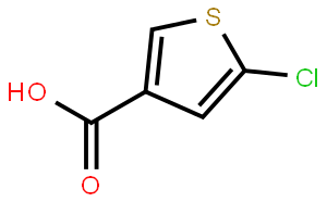 5-氯-3-噻吩甲酸