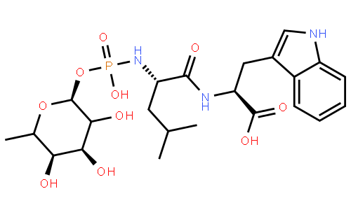 Phosphoramidon