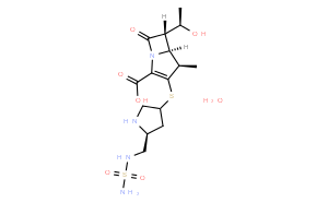 多尼培南(一水合物)(多利培南)