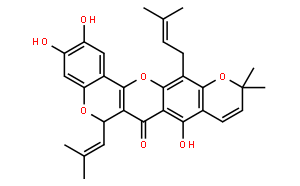 異葉波羅蜜環(huán)黃酮素